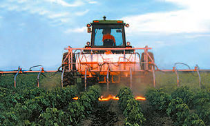 Capinadeira entrelinhas - Row Crop Flame Weeder - Flame Engineering, Inc. - a fogo / montada em trator / para a agricultura biológica