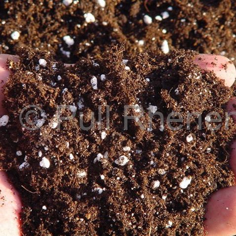 Substrato de cultivo terra vegetal - Agra - Pull Rhenen - perlita / a granel / poroso