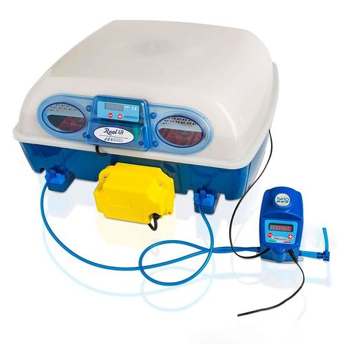 Chocadeira com viragem automática - REAL 49 EXPERT - BOROTTO - para patos / para gansos / para perus