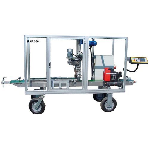 Linha de produção hortícola de poda - RAP 300 - Orlandi Orlandi S.r.l. - automática