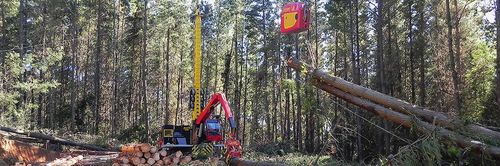 Sistema de cabos aéreos montado em carreta - Mounty 4000 Series - Konrad Forsttechnik GmbH - para extração de madeira em subidas e descidas
