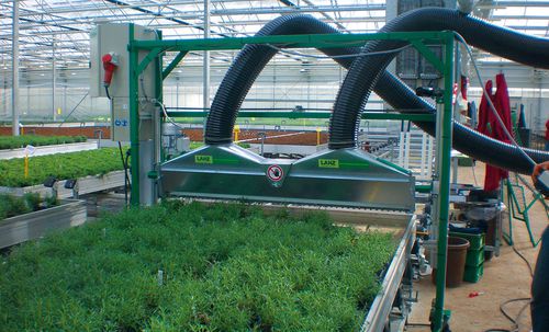 Podadora para plantas de viveiro - Venti V006 table trimmer - Pack TTI  / Weber Cooling - para bandejas de cultivo / com rodízios / horizontal