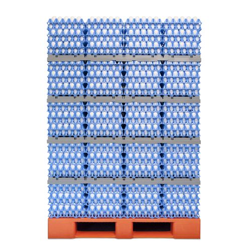 Bandeja para ovos para transporte - EggsCargoSystem - GI-OVO B.V. - divisora / em material plástico