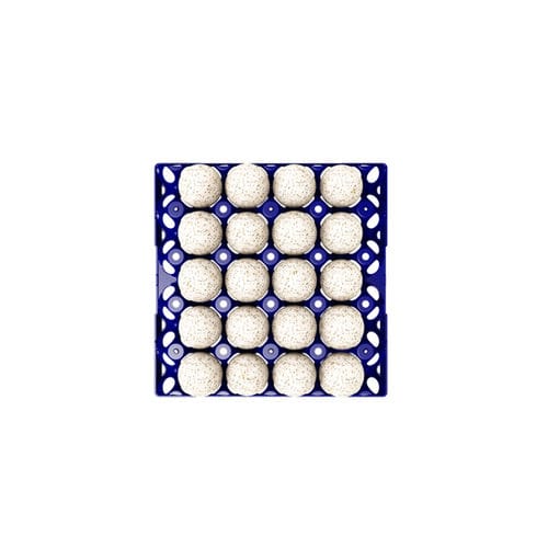 Bandeja para ovos para transporte - GI-OVO B.V. - de acondicionamento / para ovos de pata / em material plástico