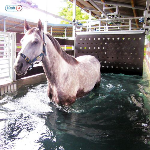 Andador aquático submerso para cavalos - Kraft - redondo / oval