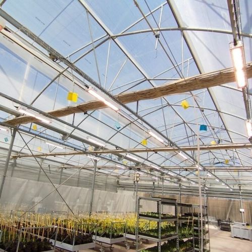 Sistema de iluminação para estufa - J. Huete Greenhouses - de LED