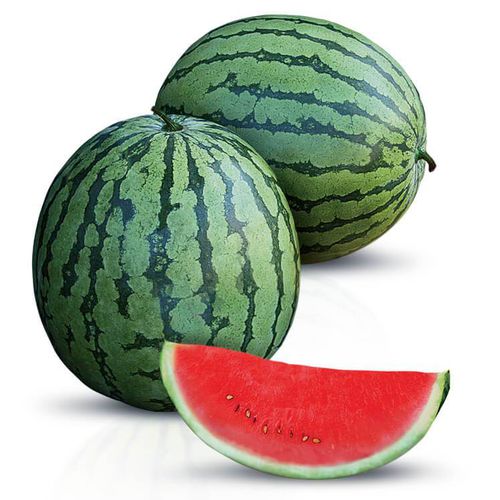 Semente de melancia híbrida - Sweet Sangria F1 - eastwestseed - vermelha / redonda