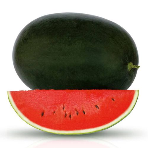Semente de melancia híbrida - Aparna F1 - eastwestseed - vermelha