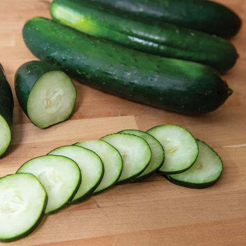 Semente de pepino resistente ao oídio - Gateway - johnnyseeds - resistente ao mosaico / resistente à antracnose / resistente à requeima foliar