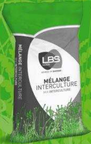 Forragem de facélia - CIPAN’Brune - lbs-seeds - para retorno do nitrogênio ao solo / para melhorar a estrutura do solo / para cultura intercalar fixadora de nitratos
