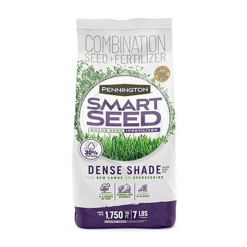 Semente de grama - DENSE SHADE - pennington