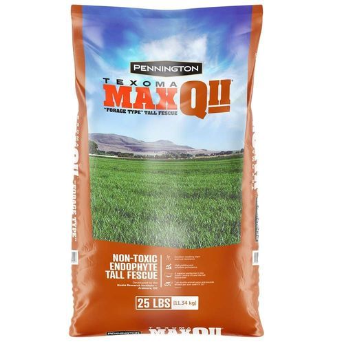 Forragem de festuca - TEXOMA MAXQ II  - pennington - para ração / para bovinos