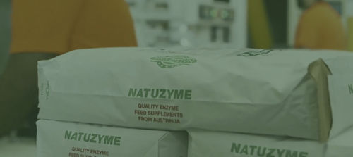 Aditivo alimentar com enzimas - Natuzyme - Adnimalis - para aves / para bovinos / seco