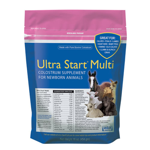 Colostro em pó para bezerros - Ultra Start® - savacaf - para cavalos / para ovinos / para caprinos