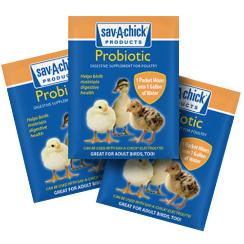 Suplemento para animais - Sav-A-Chick® Probiotic Supplement - savacaf - para aves / de levedura / em pó