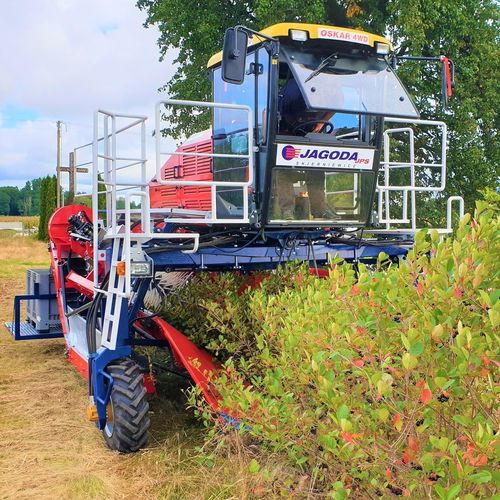 Colheitadeira para framboesas - OSKAR 4WD - JAGODA JPS Agromachines - para frutos de baga / para mirtilos / para groselha negra