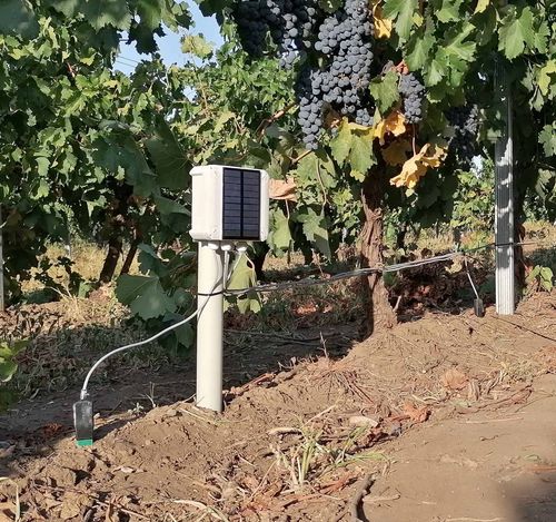 Estação meteorológica de umidade do solo - Meteobot® Nano - Prointegra Ltd. - de temperatura do solo / a bateria / com registrador de dados