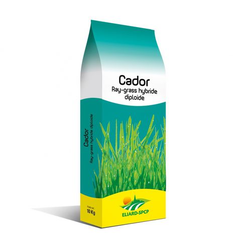 Forragem de azevém - Cador - eliard-spcp - para ração / híbrida