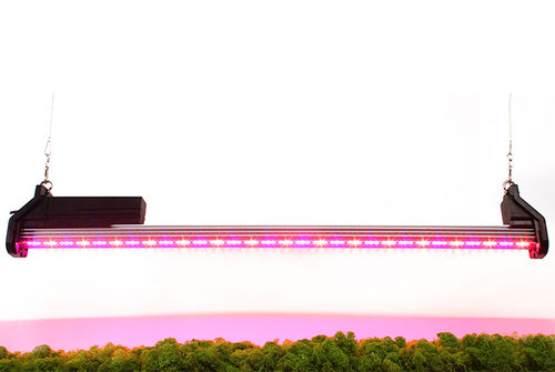 Iluminação para estufa - Agroled - de LED / azul / vermelha