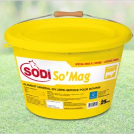 Suplementação em bloco para bovinos - SodiSo'Mag - salins-agri - com oligoelementos / de magnésio / de fósforo