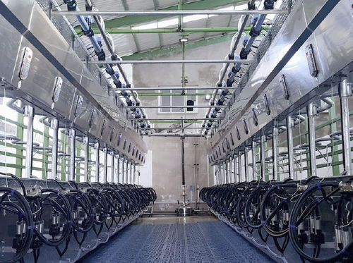 Sala de ordenha para vacas - Intermilk - tipo espinha-de-peixe