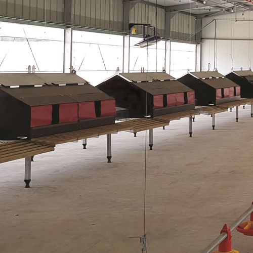 Sistema de criação de frangos de carne em gaiolas - plasson