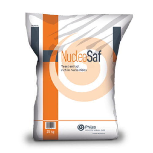 Suplemento para animais - Nucleosaf®600 - phileo-lesaffre - para bovinos / para aves / para suínos