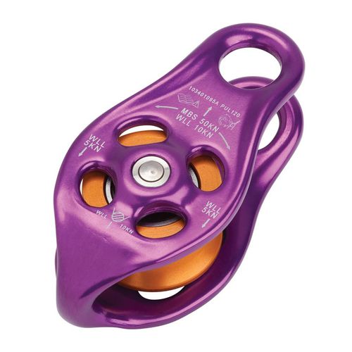 Polia - Pinto Rig - DMM Professional