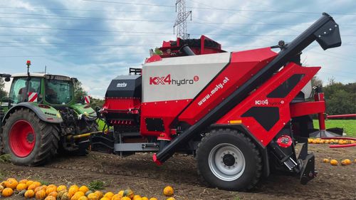 Colheitadeira-extratora de sementes de abóbora - KX4 hydroS - Moty GmbH - de arrasto / com sistema de peneiramento