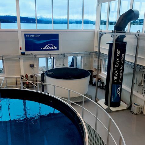 Oxigenador por sistema de microbolhas - SOLVOX® OxyStream - linde-gas - para aquicultura / de baixa pressão