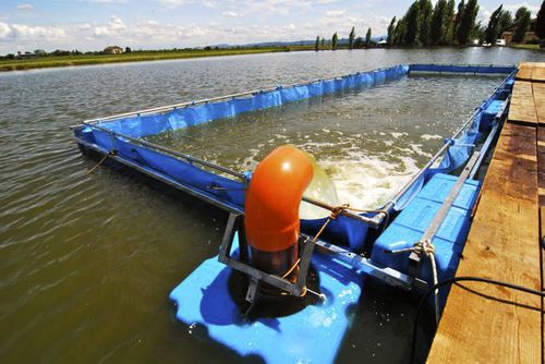Tanque de criação para aquicultura - acquaeco - para eclosão de peixes / para engorda de peixes / retangular