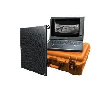 Detector de painel plano para radiografia veterinária - DR Wizard EZ - Diagnostic Imaging Systems - 14 x 17 / de conversão direta / digital