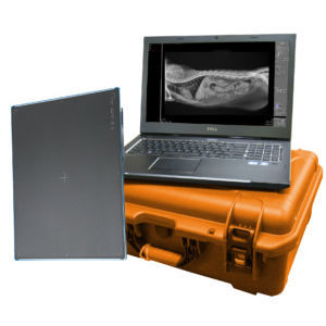 Detector de painel plano para radiografia veterinária - DR Wizard 2.0 - Diagnostic Imaging Systems - 14 x 17 / de conversão direta / digital