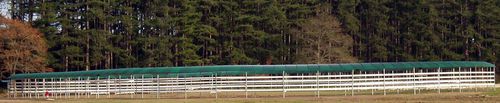 Andador de cavalos oval - telehorse