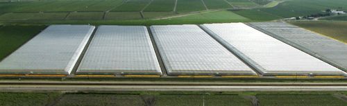 Estufa multitúnel - APN - NOVAGRIC (Novedades Agrícolas, S.A.) - experimental / em material plástico / em tela