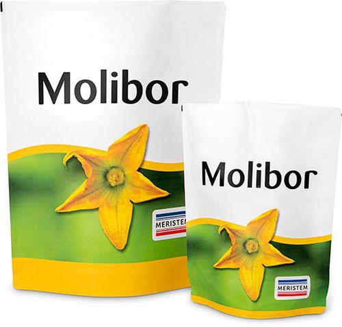 Bioestimulante rico em boro - Molibor - Quimicas Meristem S.L. - com oligoelementos / líquido / para correção de deficiências nutricionais