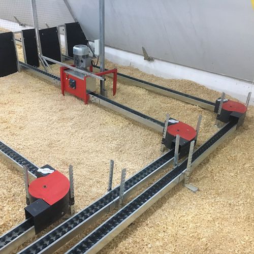 Sistema de alimentação para aves - Reliance Poultry - de corrente