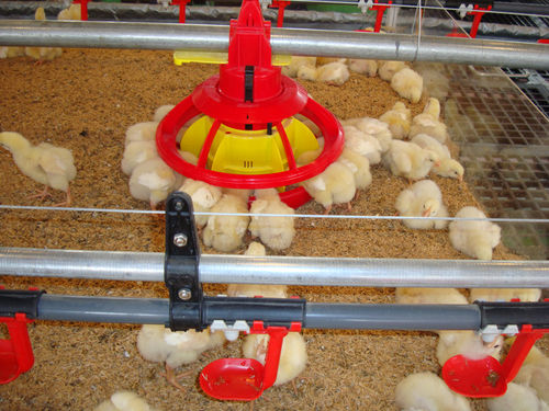 Sistema de alimentação para aves - Ezy Pan Series - dhumal - de tubo / com controlador