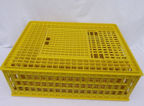Gaiola de transporte de frangos - TCRATE - broedmachine - em plástico