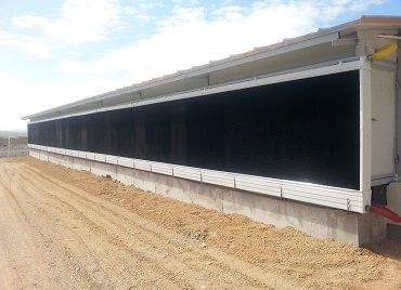 Placa de resfriamento evaporativo para galpão agrícola - ColdMaker - Valmena Ltd
