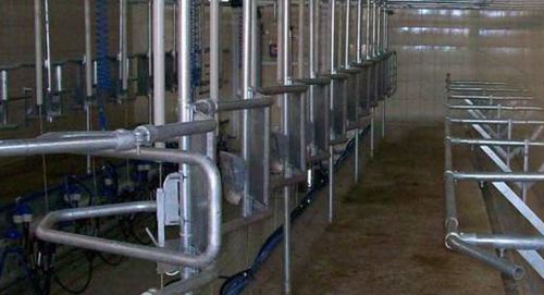 Sala de ordenha para vacas - NARAS Makina AŞ - tipo espinha-de-peixe