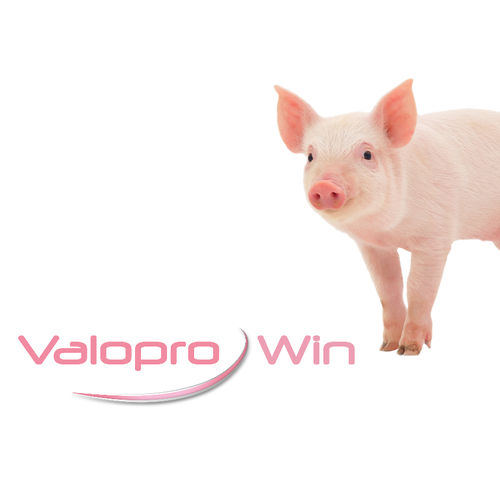Aditivo alimentar para suínos - Valopro Win - MiXscience - seco