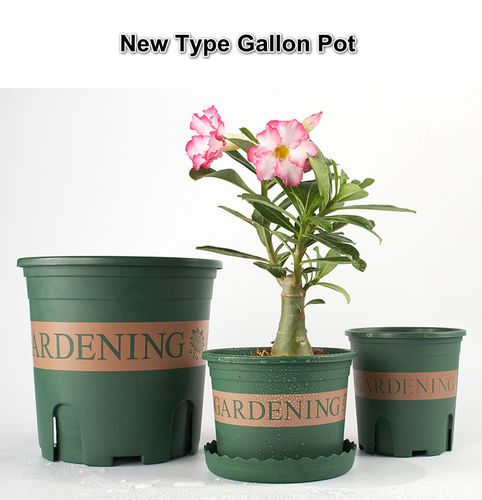 Vaso em material plástico - Gallon - Jiangsu Grow-Green Agriculture Co., Ltd. - redondo / marrom