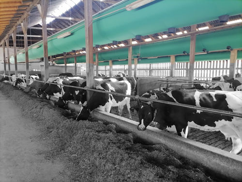 Duto de ventilação para galpão agrícola - TUBE-VENT - Marko Hohler s.p. - tubular / flexível / em material têxtil