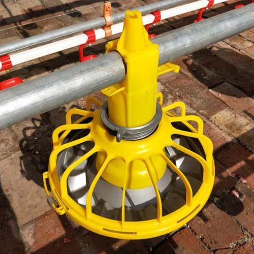 Comedouro de prato para aves - Cangzhou Phoenix Breeding Equipment Co., Ltd. - em plástico / coletivo / circular