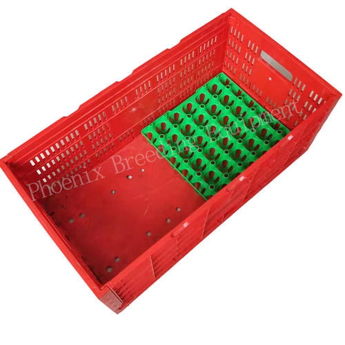 Rack para ovos de acondicionamento - Ph-150 - Cangzhou Phoenix Breeding Equipment Co., Ltd. - para ovos de galinha / em material plástico