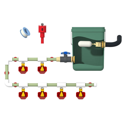 Bebedouro para aves - Cangzhou Phoenix Breeding Equipment Co., Ltd. - tigela / automático