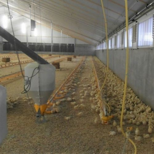 Janela para galpão de criação de animais - RP-SK series - Scan-Air - de parede / para telhado / para ventilação