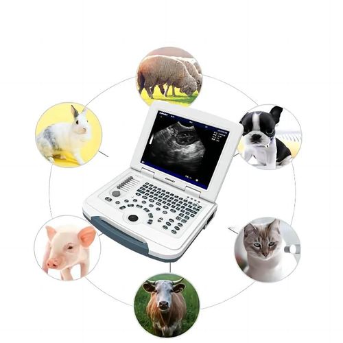 Ecógrafo veterinário portátil - MU10 - Dawei Veterinary Medical (jiangsu) co., ltd. - para animais de grande porte / para animais de pequeno porte / para cães