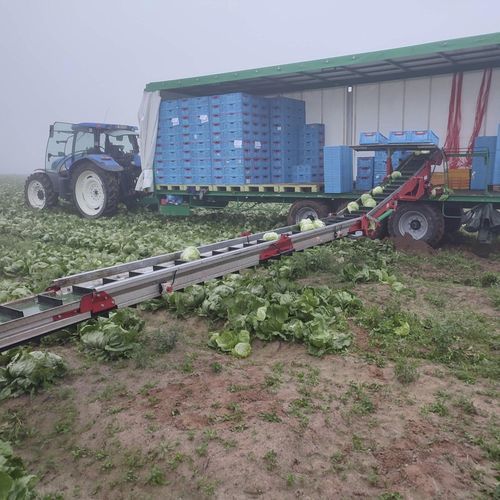 Esteira transportadora de colheita para hortaliças - METEOR - DELECROIX SAS - para frutas / montada em carreta / dobrável